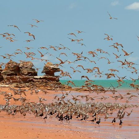 Broome Bird Observatory Buitenkant foto