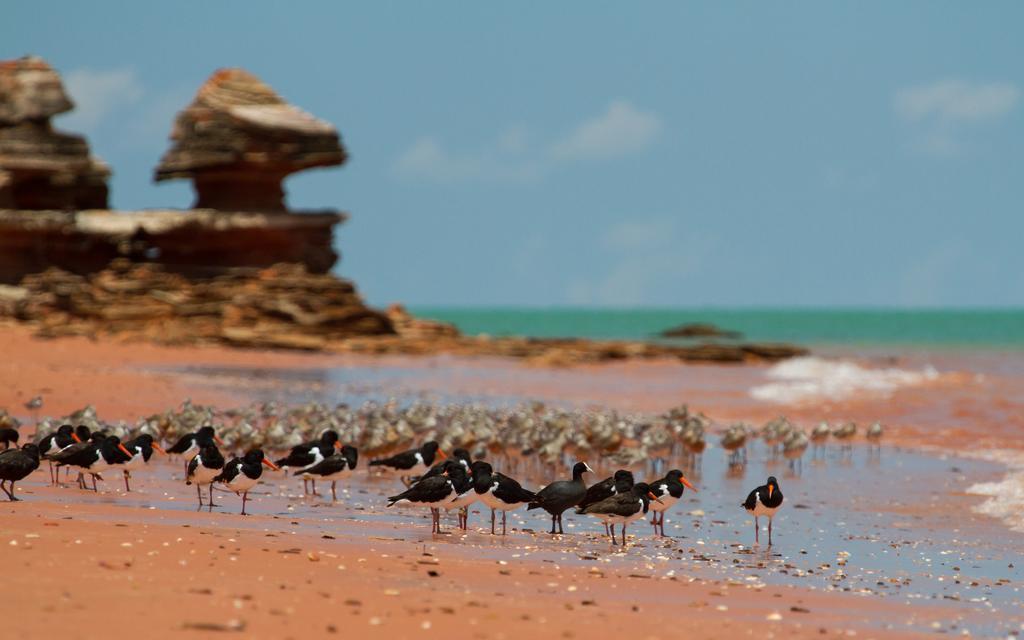 Broome Bird Observatory Buitenkant foto